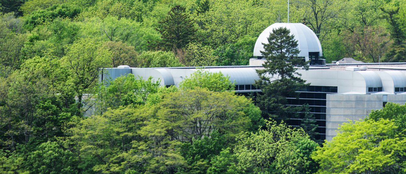 Ariel shot of the Boyd Law Building in the summer surrounded by trees 