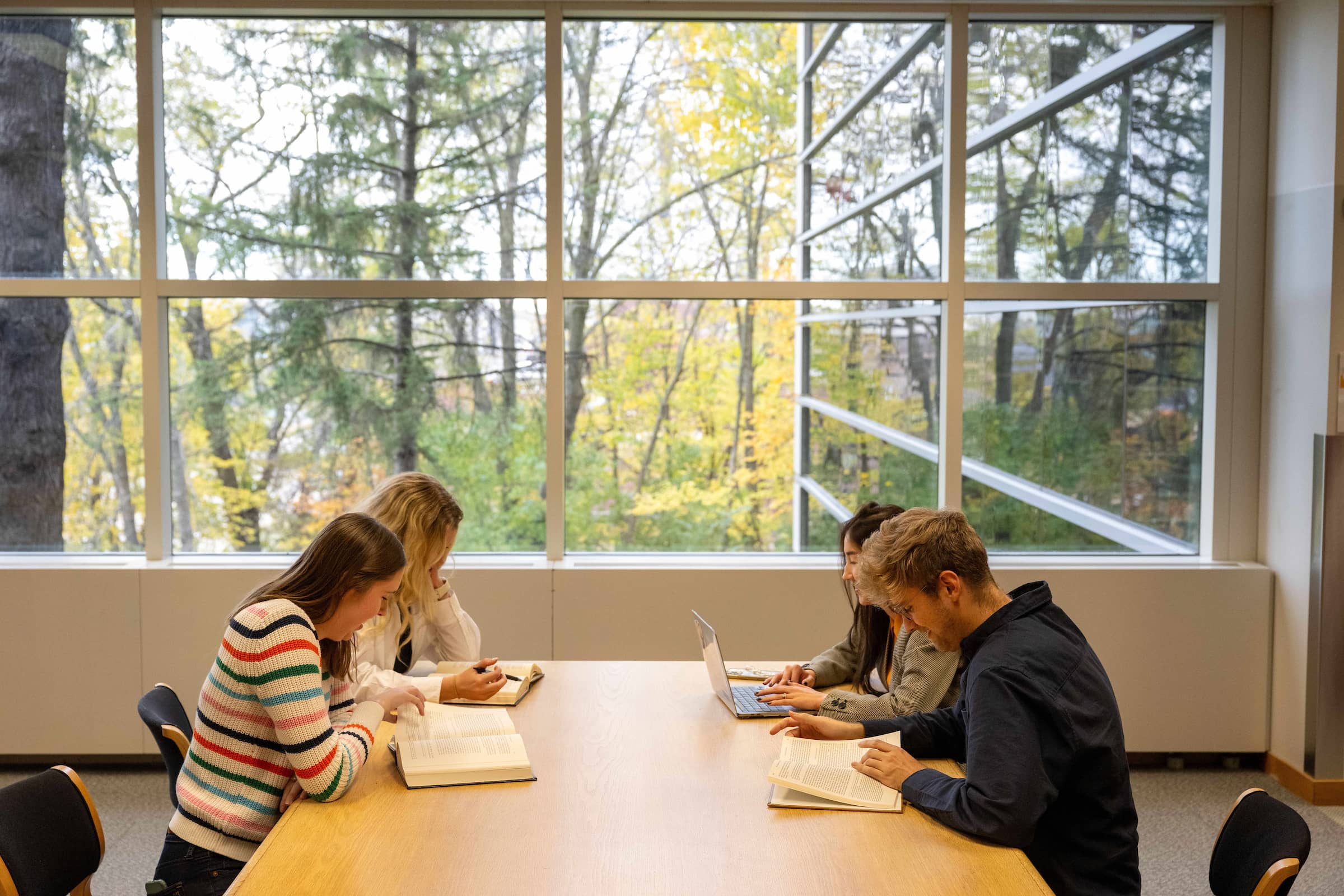 Students study by the windows in the UIowa Law Library.