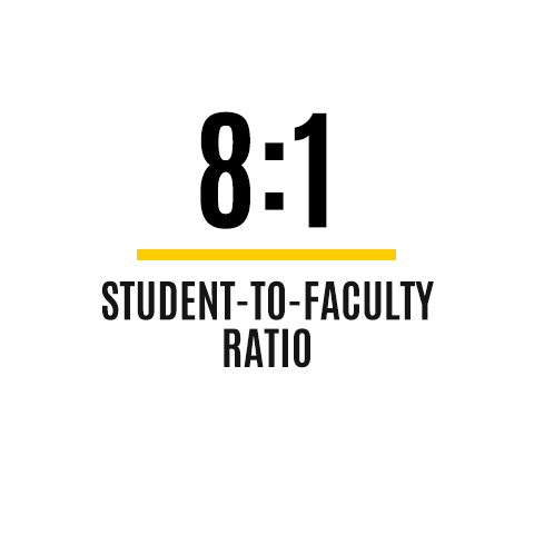 8:1 student to faculty ratio