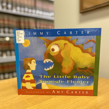 Book cover of the Little Baby Snoogle-Fleejer 