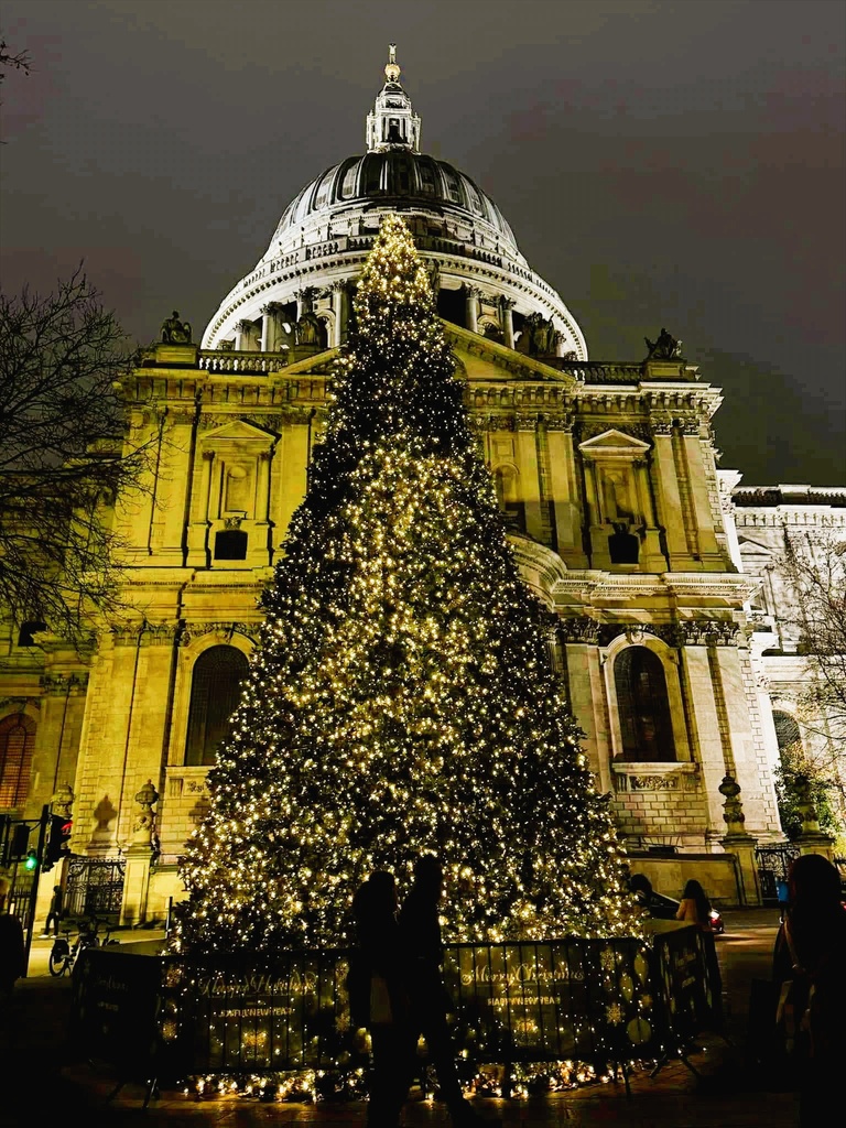 lighted tree in front of St. Paul's Cathedral in London