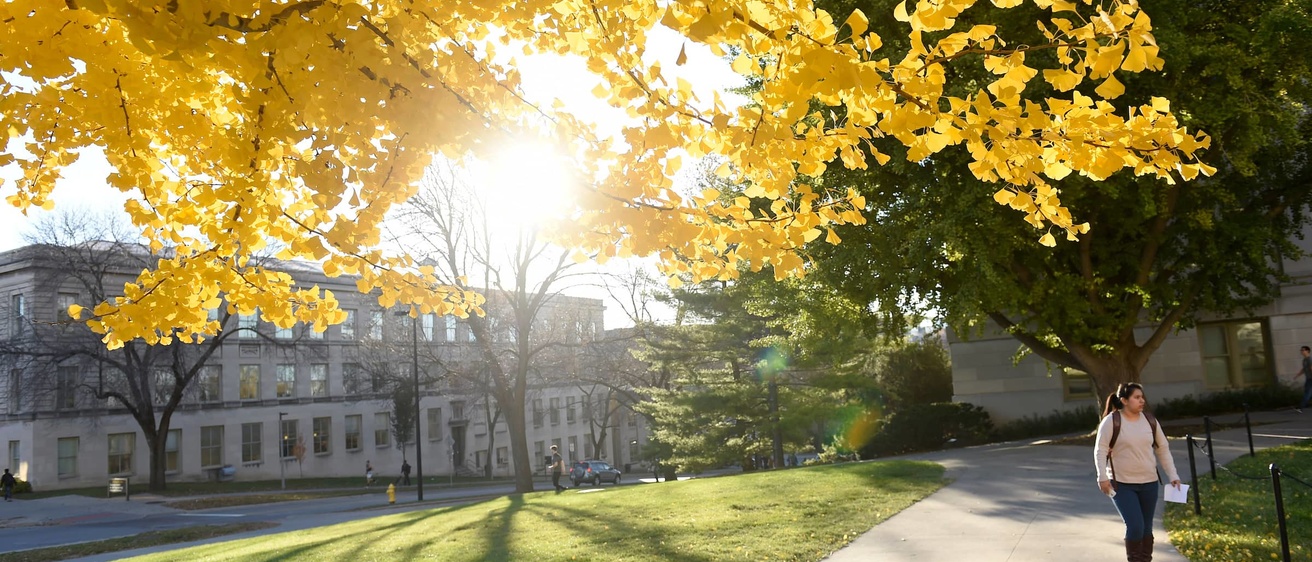 University of Iowa main campus during the fall 