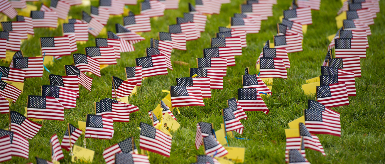 Rows of small American flags displayed on the Pentacrest for Veteran's Day 