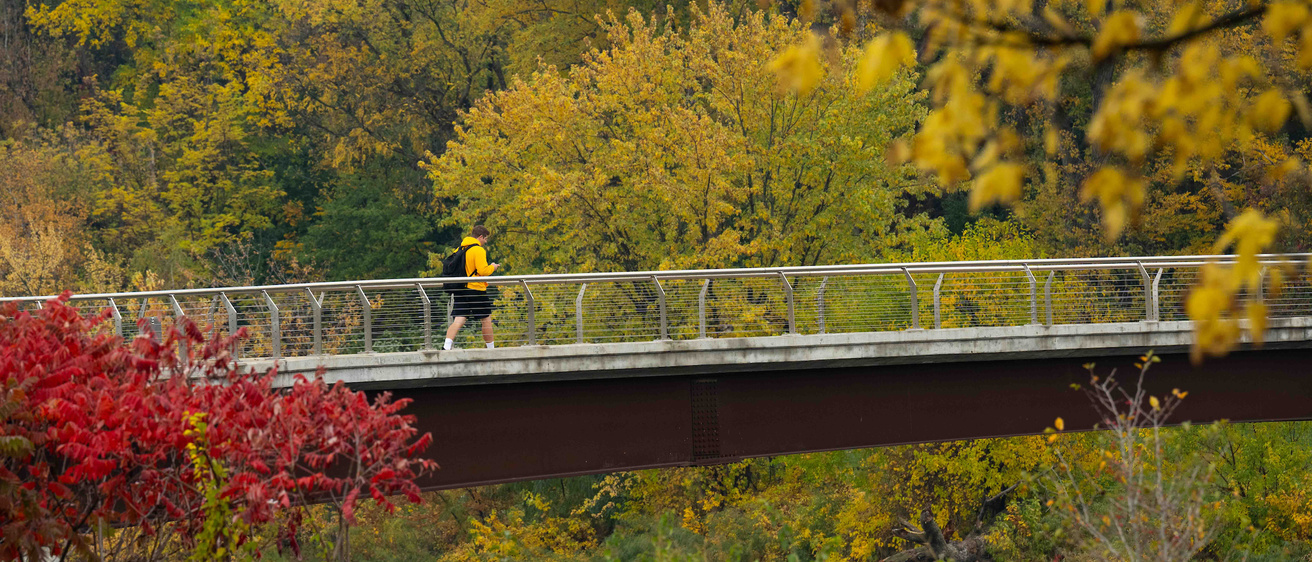 A student dressed in Hawkeye yellow crosses over a bridge on campus in the fall. 