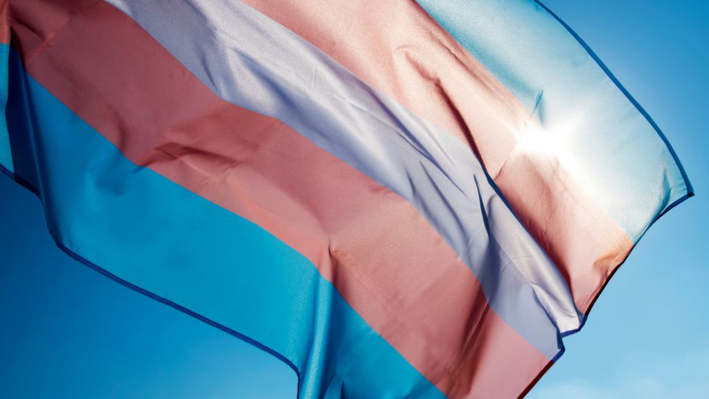 Transgender Flag flying in the wind on a sunny day 