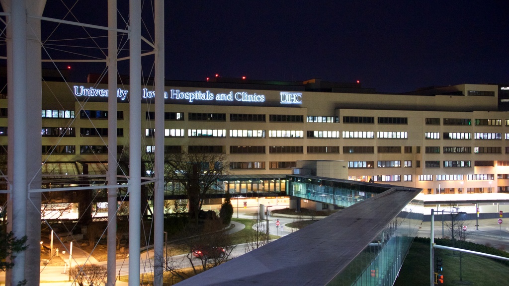 University of Iowa Hospitals