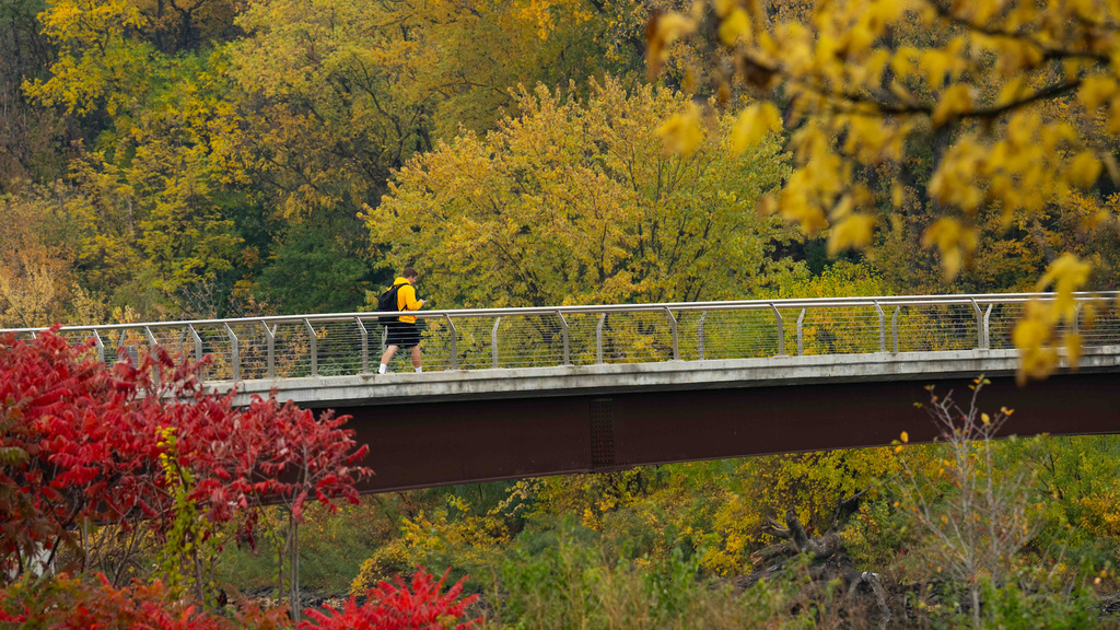 A student dressed in Hawkeye yellow crosses over a bridge on campus in the fall. 